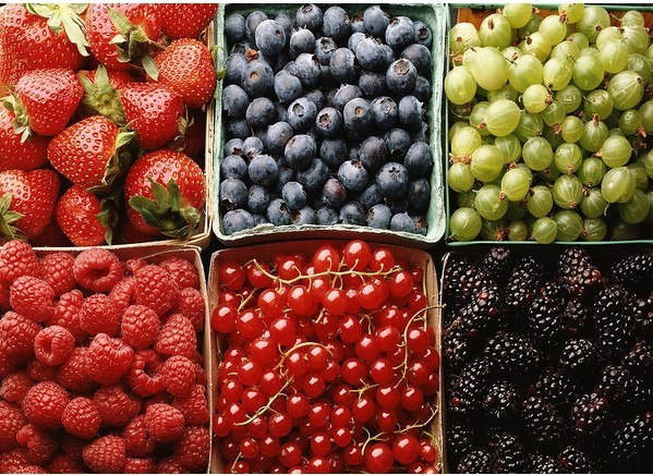 澳洲打工渡假~果園農場工作安排 澳洲打工渡假~果園農場工作安排